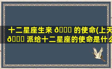 十二星座生来 🕊 的使命(上天 🕊 派给十二星座的使命是什么)